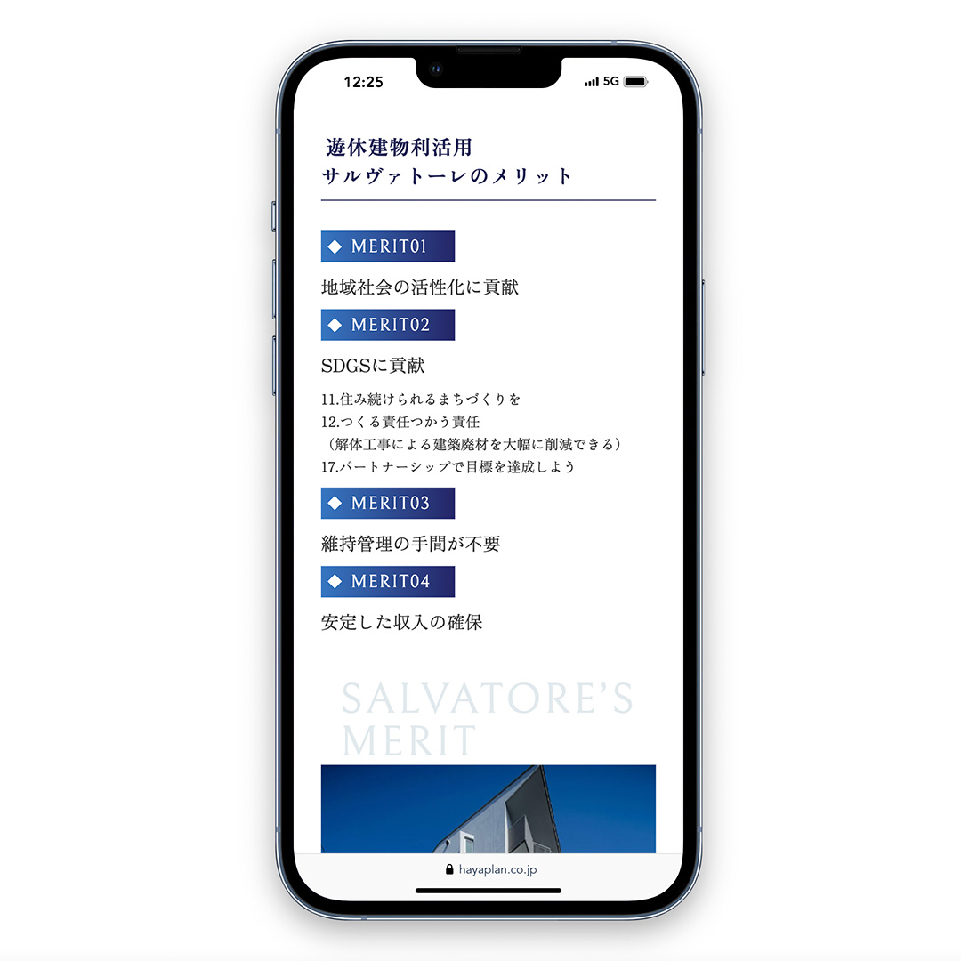 スライド画像